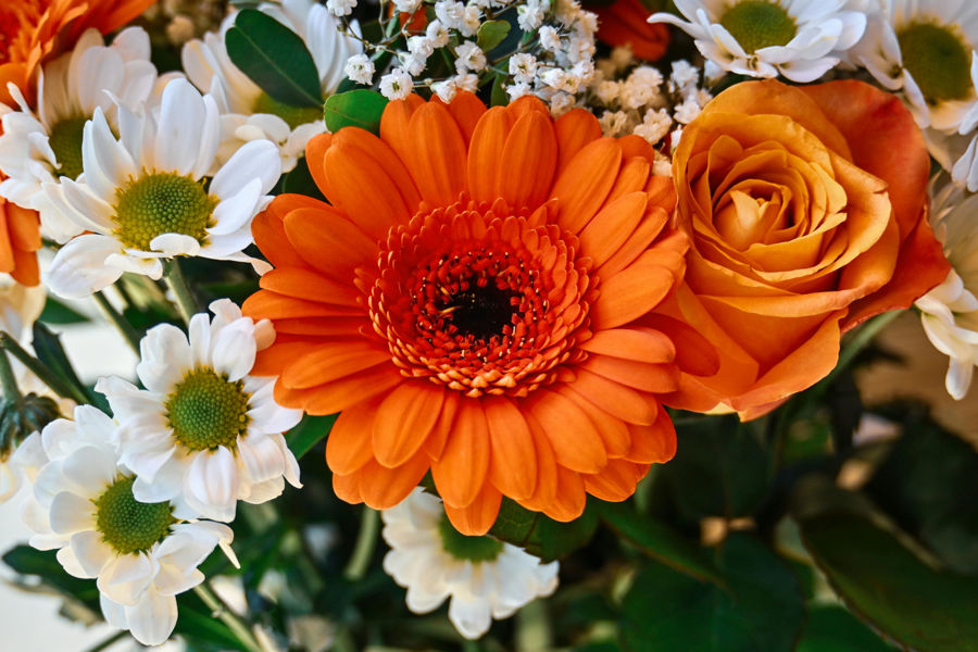 Father's Day Flowers: A Thoughtful Gift That Says More